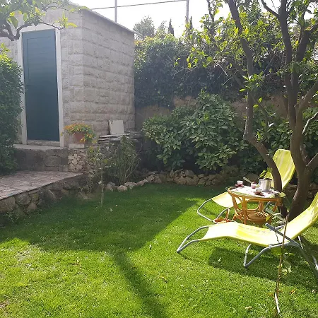 Apartment Alpha And Studio Simba Dubrovnik Extérieur photo